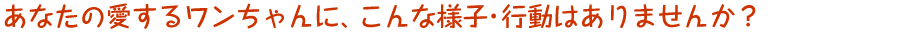 あなたの愛するワンちゃんに、こんな様子・行動はありませんか?