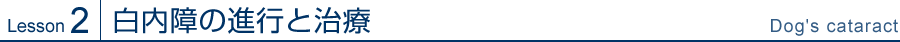 Lesson2 白内障の進行と治療