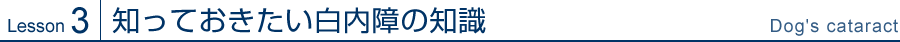 Lesson3 知っておきたい白内障の知識