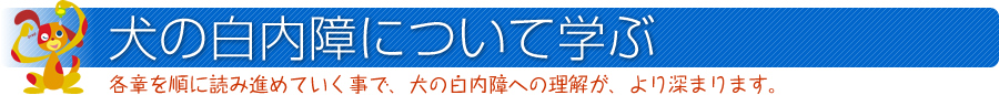 犬の白内障について学ぶ