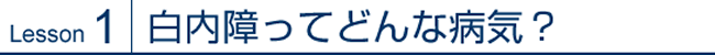 Lesson1 白内障ってどんな病気